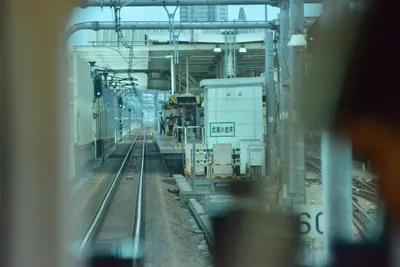 DSC_4009 (Large).JPG